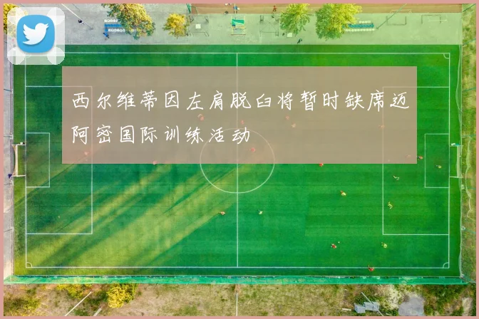 西尔维蒂因左肩脱臼将暂时缺席迈阿密国际训练活动
